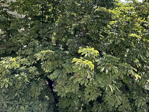 квартира по адресу Ефремова ул., 32а