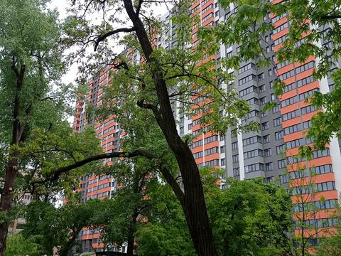 квартира за адресою Володимира Сосюри вул., 6-Б