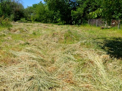 ділянка за адресою с. Писарівка, козацької слави