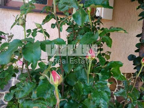 дом по адресу Сеноманський