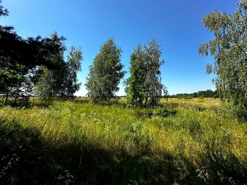 участок по адресу 