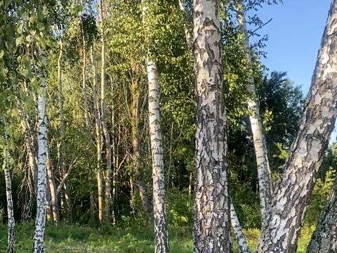 дом по адресу Балістична