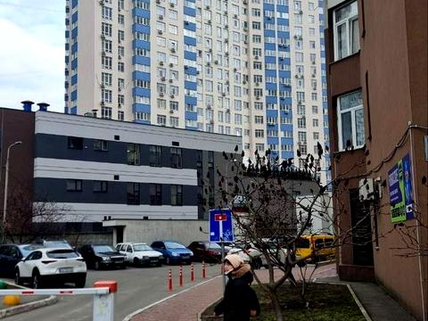 квартира за адресою Олени Пчілки вул., 5