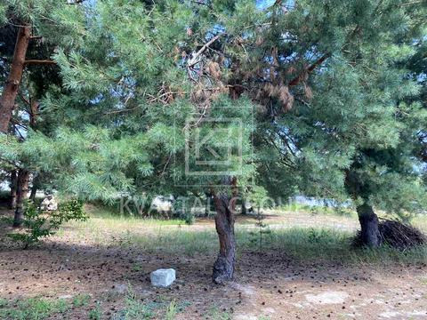 ділянка за адресою с. Пилиповичі, 