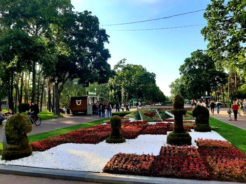 квартира за адресою Князя Романа Мстиславича вул. (Генерала Жмаченка), 16