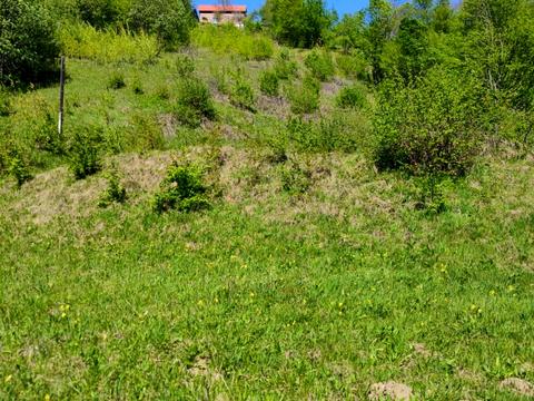 участок по адресу Прикарпатська
