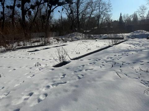 ділянка за адресою Паркова дорога вул., 20