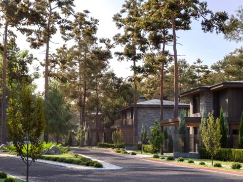 будинок за адресою лісо