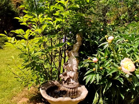 будинок за адресою Олександрівська