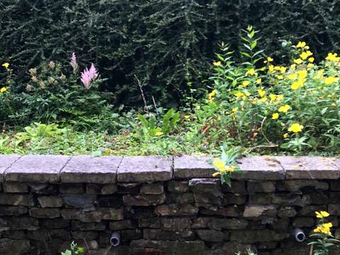 квартира по адресу Снопковская ул., 19