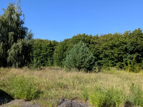 участок по адресу Чарівна