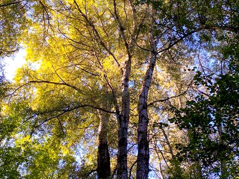 ділянка за адресою Садова вул.
