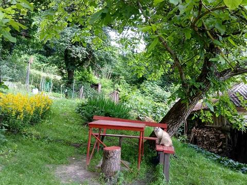 квартира по адресу Пекурівська, 20