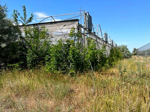 комерційна за адресою Мускатна вул. (Зої Космодем'янської), 1