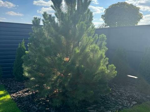 будинок за адресою Миру