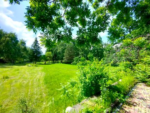 ділянка за адресою Центральна вул.