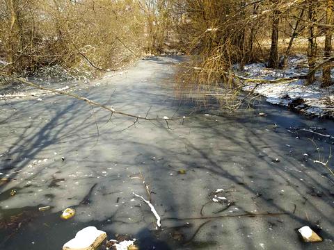 участок по адресу с. Якушинцы, 