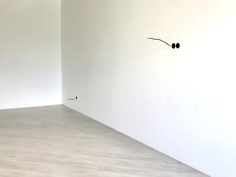 квартира по адресу Черновский пер. (Володарского), 1-А