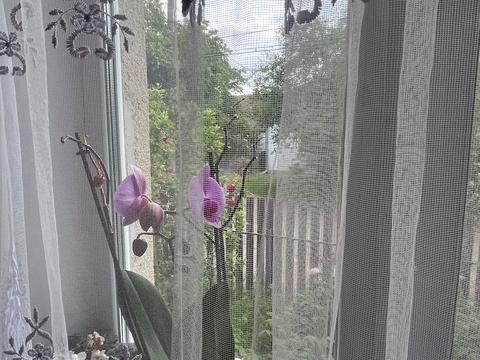 квартира по адресу Павла Чубинского ул., 14