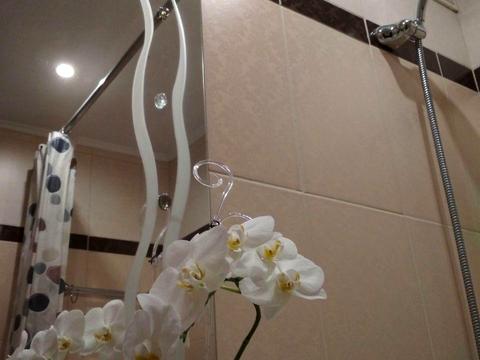 квартира за адресою Миколи Хвильового вул.