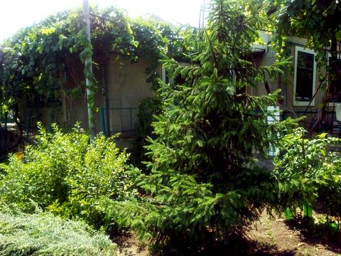 будинок за адресою Одеса, Каменярів вул.