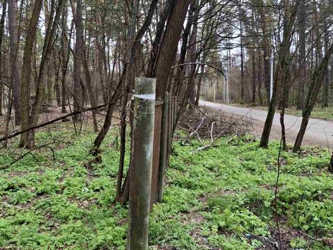 ділянка за адресою смт. Ворзель, Соснова вул., 87