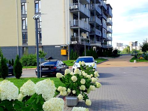 квартира за адресою Сергія Данченка вул., 18