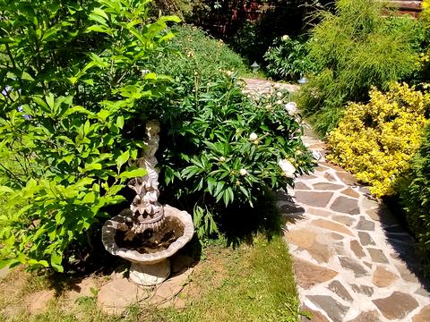 будинок за адресою Олександрівська