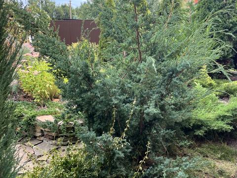 дом по адресу Олеся Гончара, 15