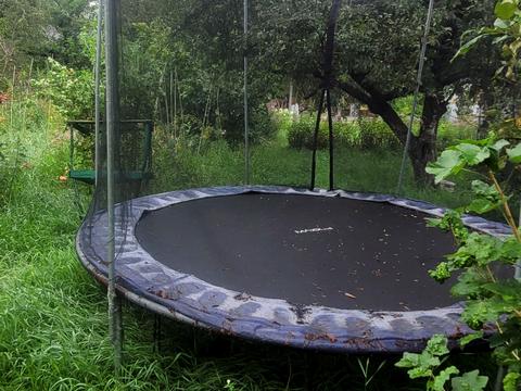дом по адресу Лінія 5, 303