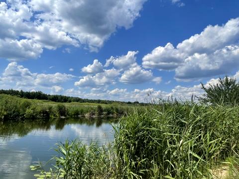 ділянка за адресою Піщана