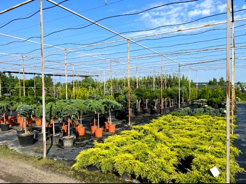 комерційна за адресою Урочище Потоки, 3