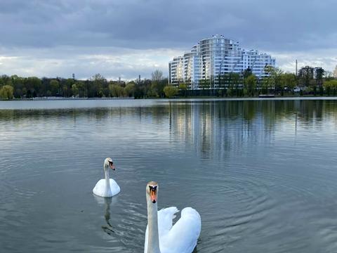 квартира по адресу Гетмана Мазепы ул., 164, к3