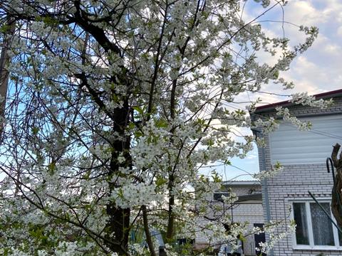 будинок за адресою Центральний пров., 8