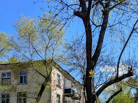 квартира за адресою Арсенія Тарковського вул. (Володарського), 16 к4
