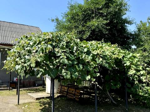 будинок за адресою Українська