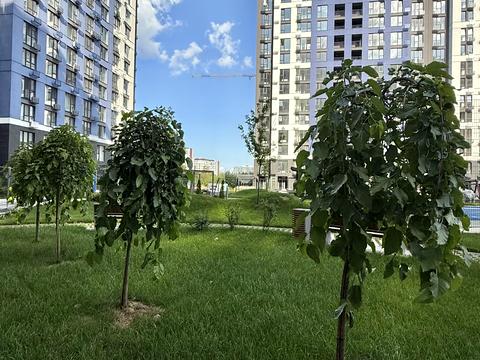 квартира за адресою Святослава Хороброго вул., 11-Б