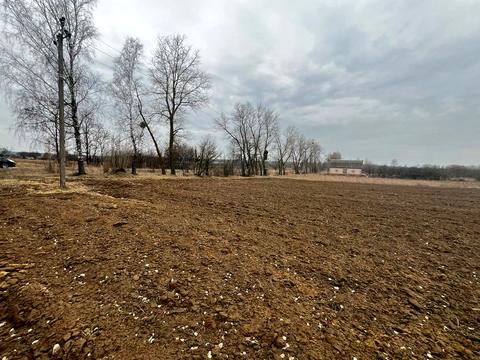 ділянка за адресою с. Агрономічне, Прибережна вул., 51