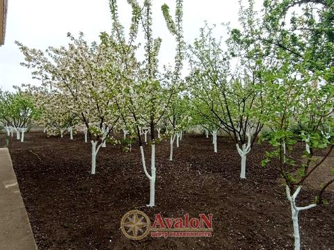 будинок за адресою Петропавловская, 16