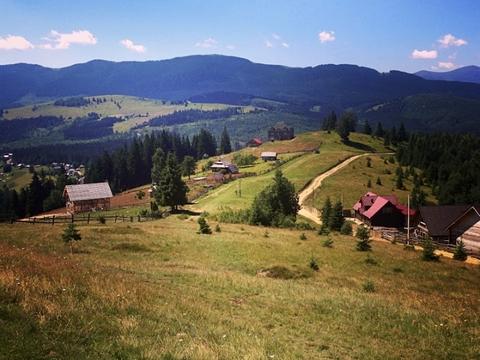 участок по адресу с. Кривополье, 