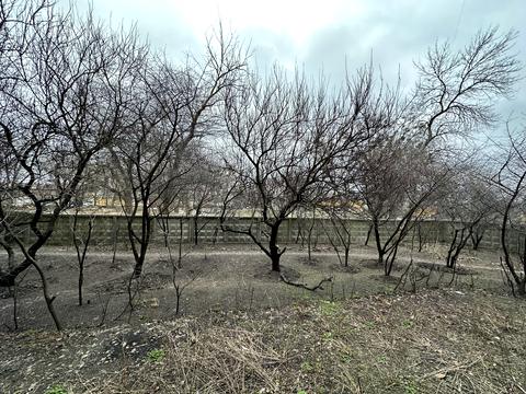 квартира по адресу Киев, Зоологическая ул., 6-В