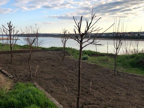 дом по адресу с. Сухой Лиман, Морська, 8