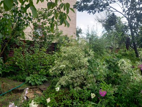 ділянка за адресою 19-та Садова вул.