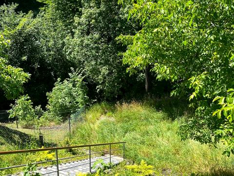 дом по адресу камянка