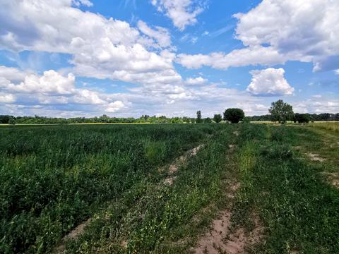 ділянка за адресою Свято-Покровська вул. (Леніна), 141-а