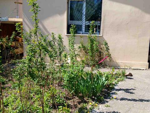 квартира за адресою Прогрес вул., 2