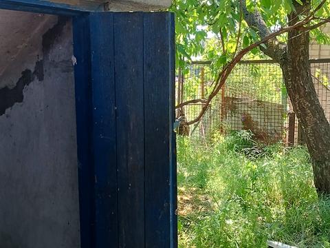 будинок за адресою смт. Кушугум, Шевченко