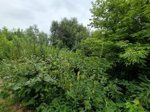 участок по адресу Гагарина ул.