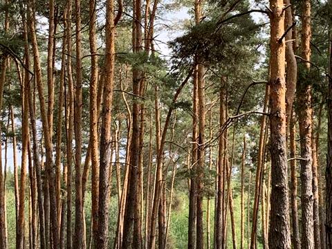 квартира за адресою Шевченка, 1