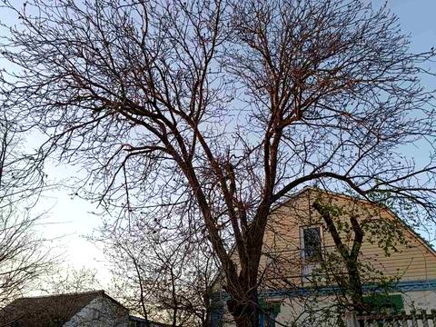 будинок за адресою смт. Гребінки, Київська вул.